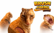 Brush Jjaemu Brush Jjaemu img