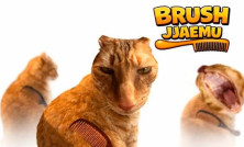 Brush Jjaemu img