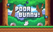 Poor Bunny Poor Bunny img